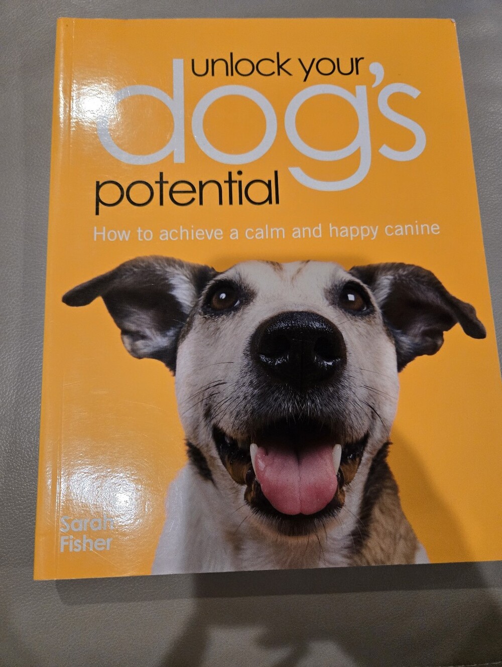 Unlock Your Dog's Potential - Orange Canine Training Guide Book